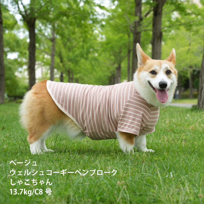 <font size="2">コーギー・バセット [全30size展開]</font><br>BORDERS CLUB Tシャツ ネイビー/ベージュ - VERY-PET