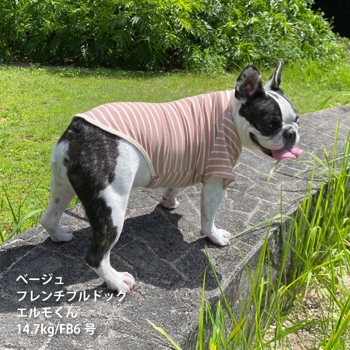 <font size="2">フレブル・パグ [全30size展開]</font><br>BORDERS CLUB Tシャツ ネイビー/ベージュ - VERY-PET