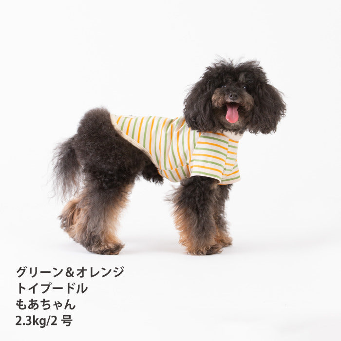 <font size="2">小型～超大型 ダックス 胴長 [全30size展開]</font><br>BORDERS CLUB Tシャツ トリコロール/グリーン＆オレンジ - VERY-PET