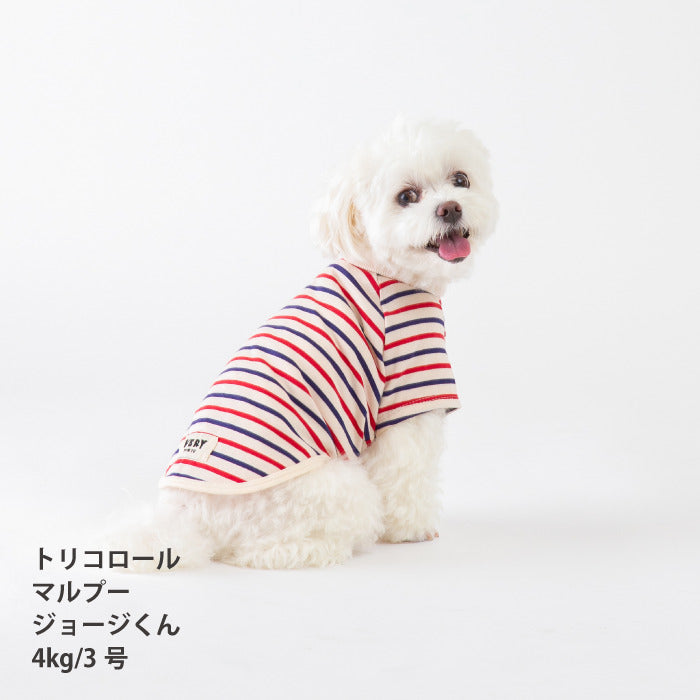 <font size="2">小型～超大型 ダックス 胴長 [全30size展開]</font><br>BORDERS CLUB Tシャツ トリコロール/グリーン＆オレンジ - VERY-PET