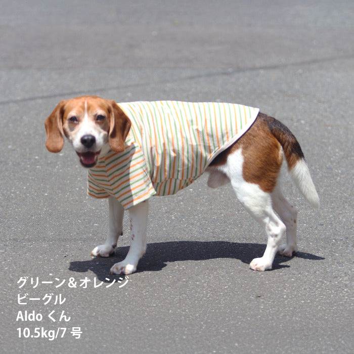 <font size="2">小型～超大型 ダックス 胴長 [全30size展開]</font><br>BORDERS CLUB Tシャツ トリコロール/グリーン＆オレンジ - VERY-PET