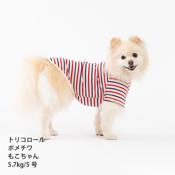 <font size="2">小型～超大型 ダックス 胴長 [全30size展開]</font><br>BORDERS CLUB Tシャツ トリコロール/グリーン＆オレンジ - VERY-PET