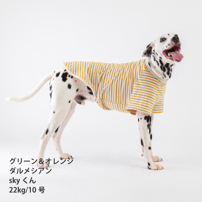 <font size="2">小型～超大型 ダックス 胴長 [全30size展開]</font><br>BORDERS CLUB Tシャツ トリコロール/グリーン＆オレンジ - VERY-PET