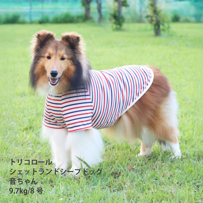 <font size="2">小型～超大型 ダックス 胴長 [全30size展開]</font><br>BORDERS CLUB Tシャツ トリコロール/グリーン＆オレンジ - VERY-PET