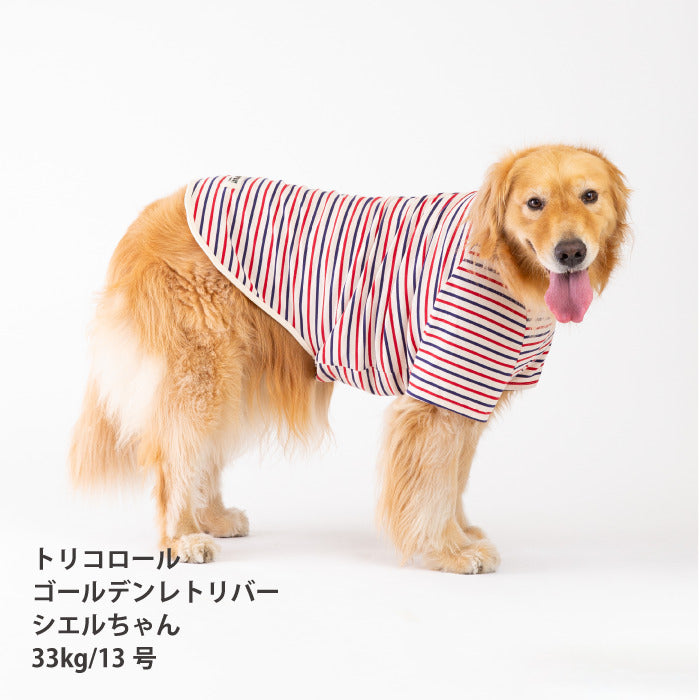 <font size="2">小型～超大型 ダックス 胴長 [全30size展開]</font><br>BORDERS CLUB Tシャツ トリコロール/グリーン＆オレンジ - VERY-PET