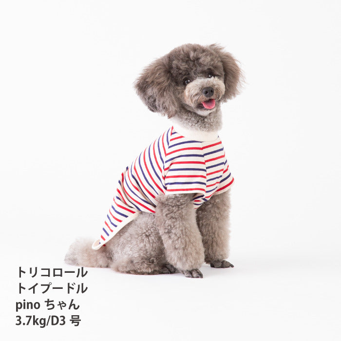 <font size="2">小型～超大型 ダックス 胴長 [全30size展開]</font><br>BORDERS CLUB Tシャツ トリコロール/グリーン＆オレンジ - VERY-PET