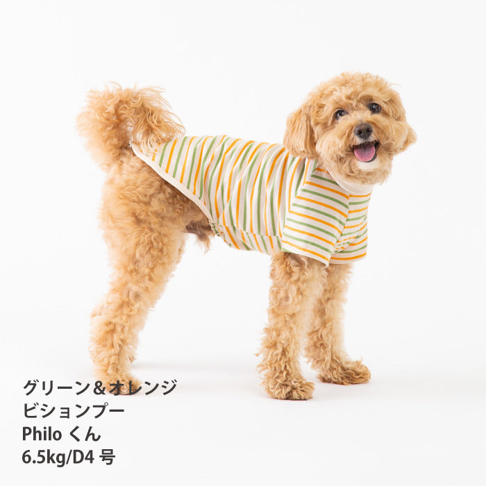 <font size="2">小型～超大型 ダックス 胴長 [全30size展開]</font><br>BORDERS CLUB Tシャツ トリコロール/グリーン＆オレンジ - VERY-PET