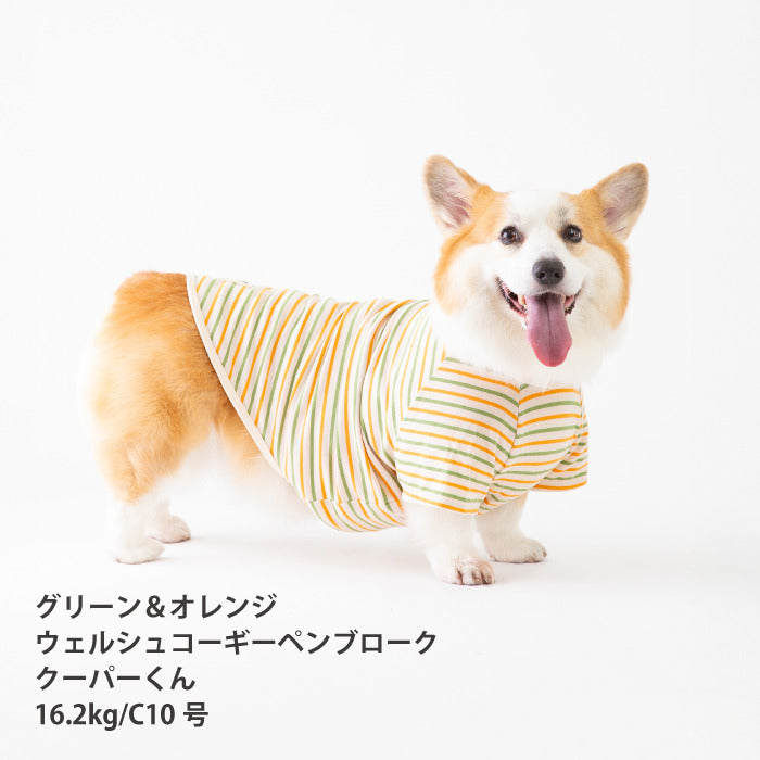<font size="2">コーギー・バセット [全30size展開]</font><br>BORDERS CLUB Tシャツ トリコロール/グリーン＆オレンジ - VERY-PET