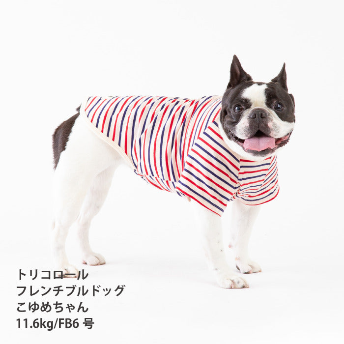 <font size="2">フレブル・パグ [全30size展開]</font><br>BORDERS CLUB Tシャツ トリコロール/グリーン＆オレンジ - VERY-PET