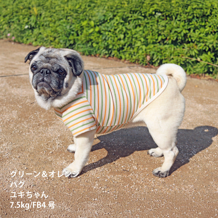 <font size="2">フレブル・パグ [全30size展開]</font><br>BORDERS CLUB Tシャツ トリコロール/グリーン＆オレンジ - VERY-PET