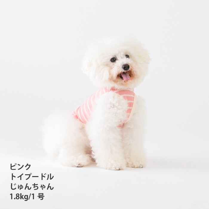 <font size="2">小型～超大型 ダックス 胴長 [全30size展開]</font><br>BORDERS CLUB タンクトップ レッド/ピンク - VERY-PET