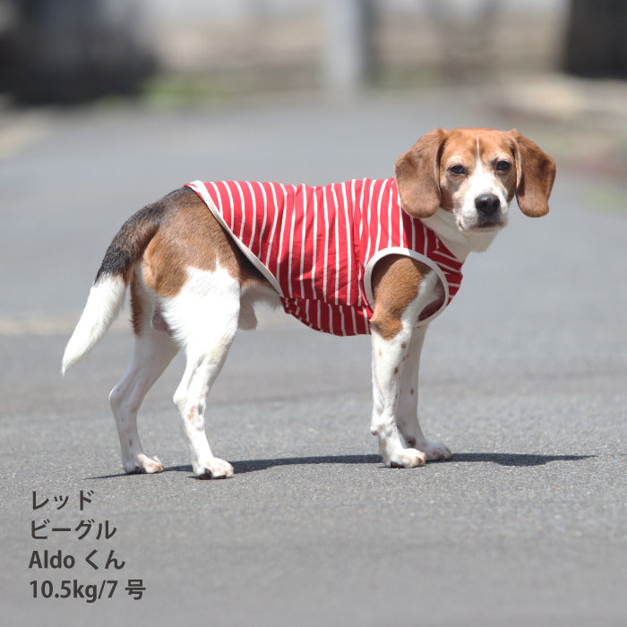 <font size="2">小型～超大型 ダックス 胴長 [全30size展開]</font><br>BORDERS CLUB タンクトップ レッド/ピンク - VERY-PET