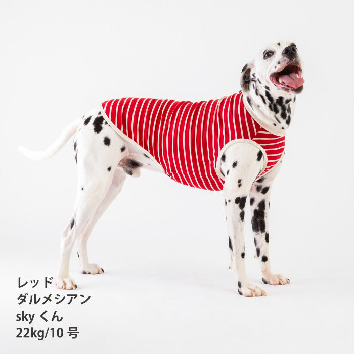 <font size="2">小型～超大型 ダックス 胴長 [全30size展開]</font><br>BORDERS CLUB タンクトップ レッド/ピンク - VERY-PET
