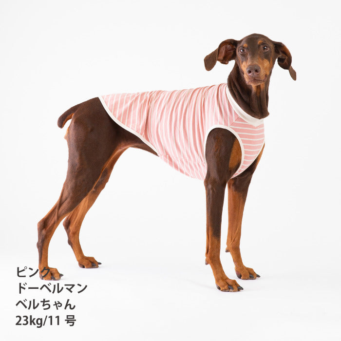 <font size="2">小型～超大型 ダックス 胴長 [全30size展開]</font><br>BORDERS CLUB タンクトップ レッド/ピンク - VERY-PET