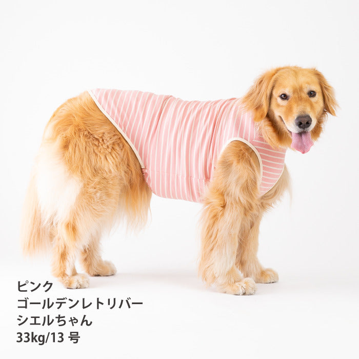 <font size="2">小型～超大型 ダックス 胴長 [全30size展開]</font><br>BORDERS CLUB タンクトップ レッド/ピンク - VERY-PET