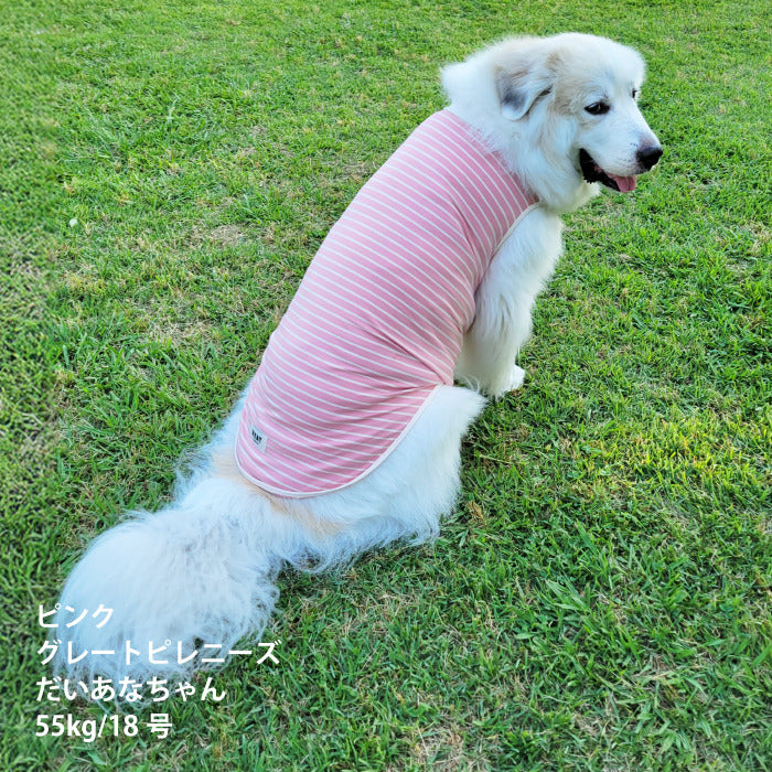 <font size="2">小型～超大型 ダックス 胴長 [全30size展開]</font><br>BORDERS CLUB タンクトップ レッド/ピンク - VERY-PET