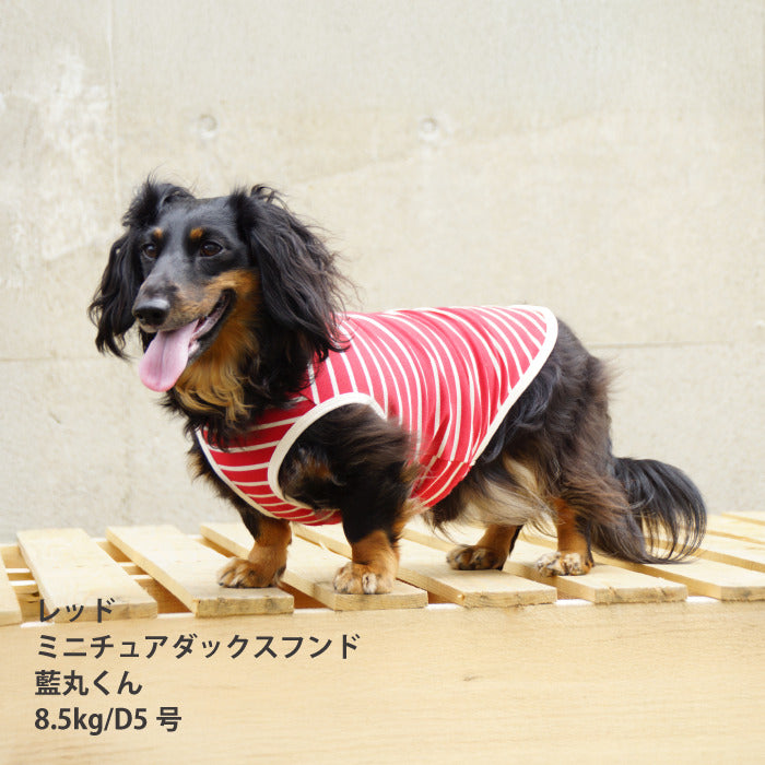 <font size="2">小型～超大型 ダックス 胴長 [全30size展開]</font><br>BORDERS CLUB タンクトップ レッド/ピンク - VERY-PET