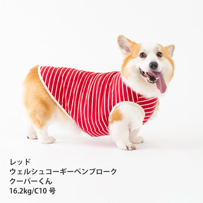 <font size="2">コーギー・バセット [全30size展開]</font><br>BORDERS CLUB タンクトップ レッド/ピンク - VERY-PET