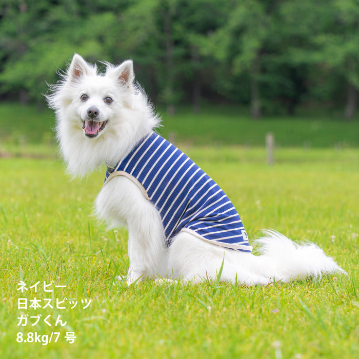 <font size="2">小型～超大型 ダックス 胴長 [全30size展開]</font><br>BORDERS CLUB タンクトップ ネイビー/ベージュ - VERY-PET