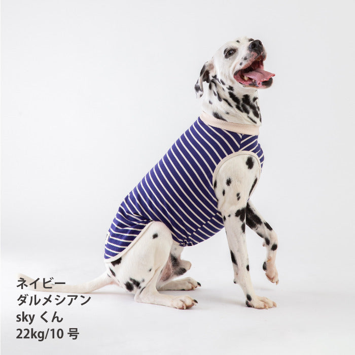 <font size="2">小型～超大型 ダックス 胴長 [全30size展開]</font><br>BORDERS CLUB タンクトップ ネイビー/ベージュ - VERY-PET