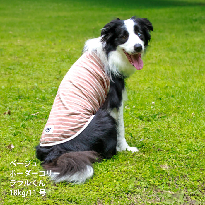 <font size="2">小型～超大型 ダックス 胴長 [全30size展開]</font><br>BORDERS CLUB タンクトップ ネイビー/ベージュ - VERY-PET