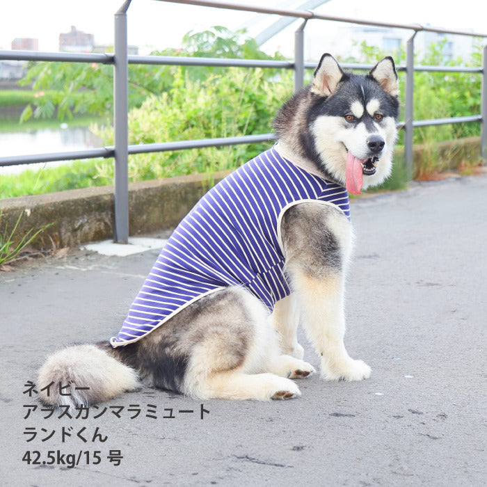 <font size="2">小型～超大型 ダックス 胴長 [全30size展開]</font><br>BORDERS CLUB タンクトップ ネイビー/ベージュ - VERY-PET