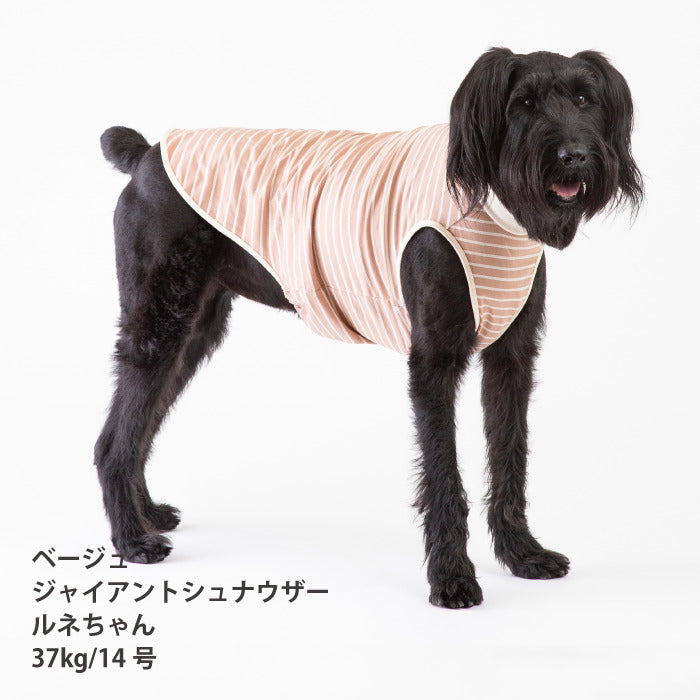 <font size="2">小型～超大型 ダックス 胴長 [全30size展開]</font><br>BORDERS CLUB タンクトップ ネイビー/ベージュ - VERY-PET