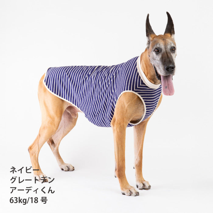 <font size="2">小型～超大型 ダックス 胴長 [全30size展開]</font><br>BORDERS CLUB タンクトップ ネイビー/ベージュ - VERY-PET
