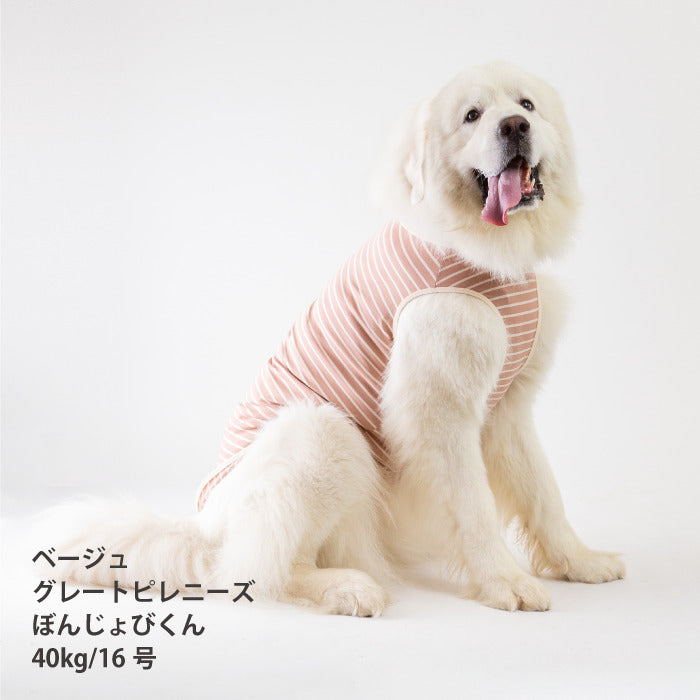 <font size="2">小型～超大型 ダックス 胴長 [全30size展開]</font><br>BORDERS CLUB タンクトップ ネイビー/ベージュ - VERY-PET