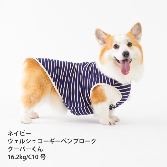 <font size="2">コーギー・バセット [全30size展開]</font><br>BORDERS CLUB タンクトップ ネイビー/ベージュ - VERY-PET