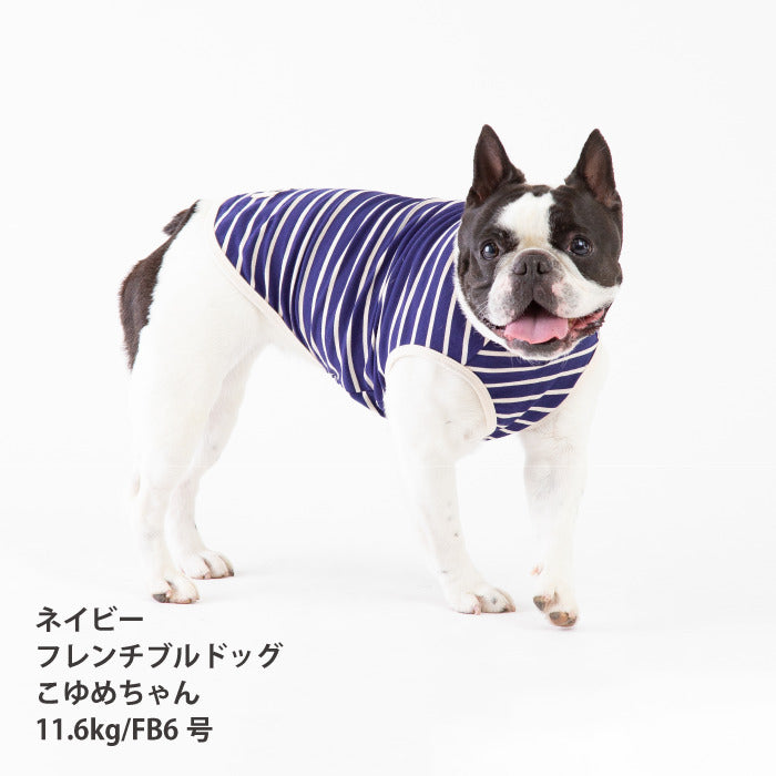 <font size="2">フレブル・パグ [全30size展開]</font><br>BORDERS CLUB タンクトップ ネイビー/ベージュ - VERY-PET