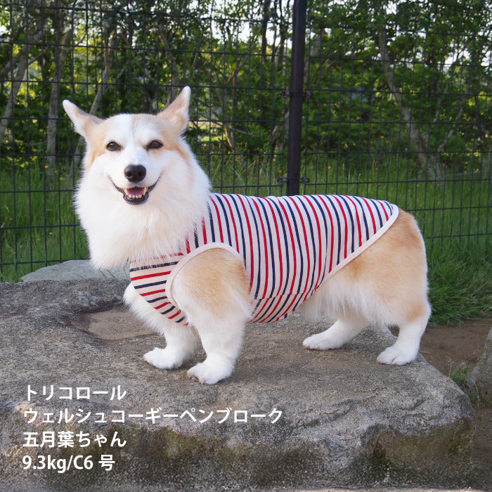 <font size="2">コーギー・バセット [全30size展開]</font><br>BORDERS CLUB タンクトップ トリコロール/グリーン＆オレンジ - VERY-PET