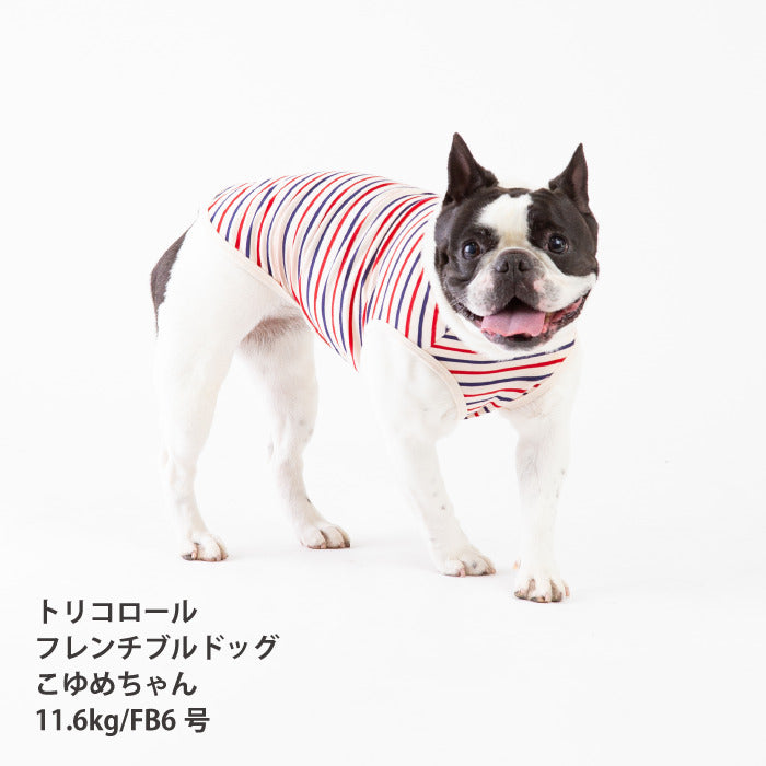 <font size="2">フレブル・パグ [全30size展開]</font><br>BORDERS CLUB タンクトップ トリコロール/グリーン＆オレンジ - VERY-PET