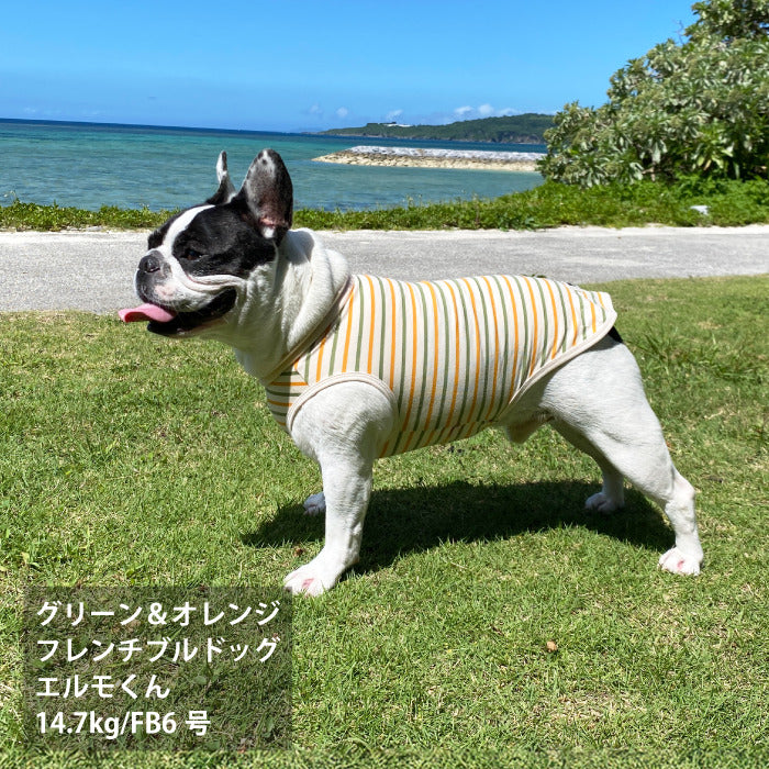 <font size="2">フレブル・パグ [全30size展開]</font><br>BORDERS CLUB タンクトップ トリコロール/グリーン＆オレンジ - VERY-PET