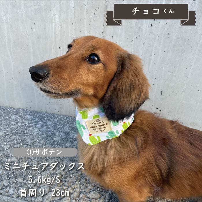 専用やわらか保冷剤付<br>保冷剤なしでもヒンヤリ！COOLバンダナ S - VERY-PET