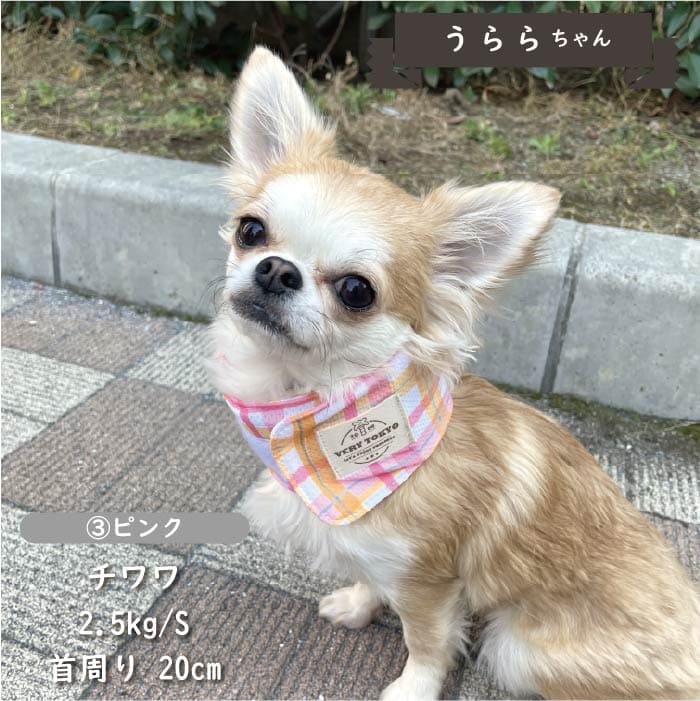 専用やわらか保冷剤付<br>保冷剤なしでもヒンヤリ！COOLバンダナ S - VERY-PET