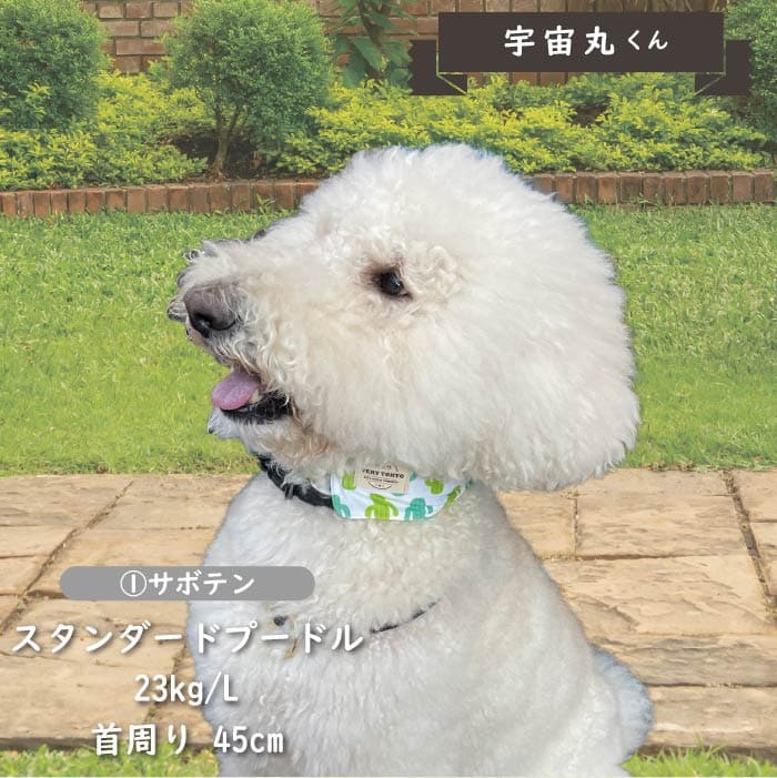 専用やわらか保冷剤付<br>保冷剤なしでもヒンヤリ！COOLバンダナ L - VERY-PET