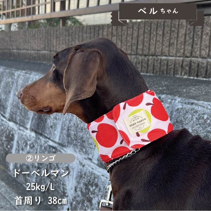 専用やわらか保冷剤付<br>保冷剤なしでもヒンヤリ！COOLバンダナ L - VERY-PET