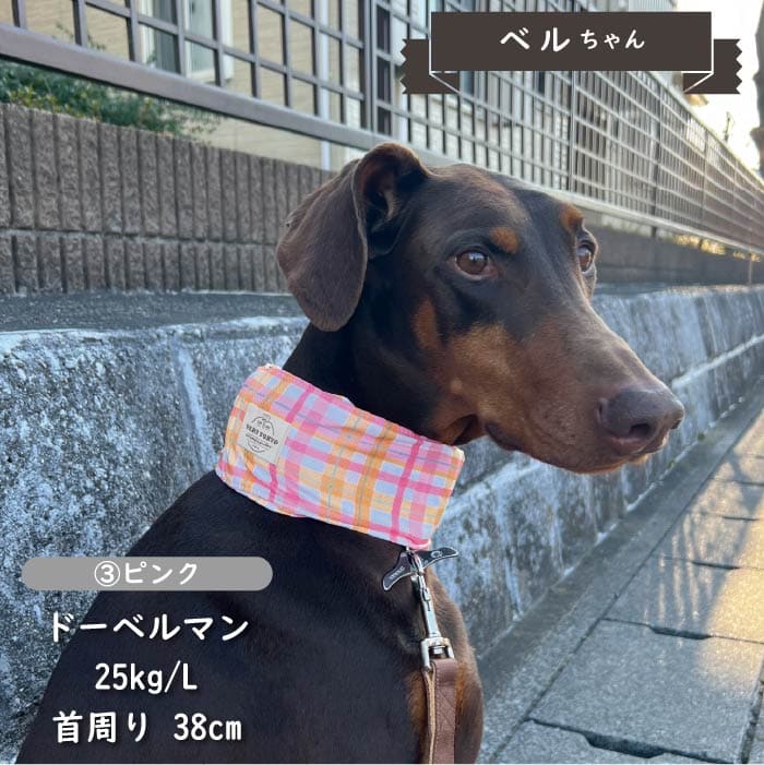 専用やわらか保冷剤付<br>保冷剤なしでもヒンヤリ！COOLバンダナ L - VERY-PET