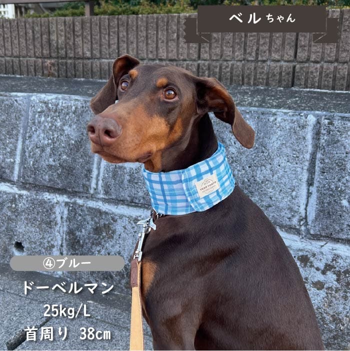 専用やわらか保冷剤付<br>保冷剤なしでもヒンヤリ！COOLバンダナ L - VERY-PET