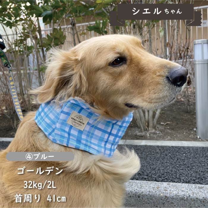 専用やわらか保冷剤付<br>保冷剤なしでもヒンヤリ！COOLバンダナ2 L - VERY-PET