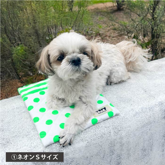 2025クールマット　モデル犬使用例　ネオンSサイズ