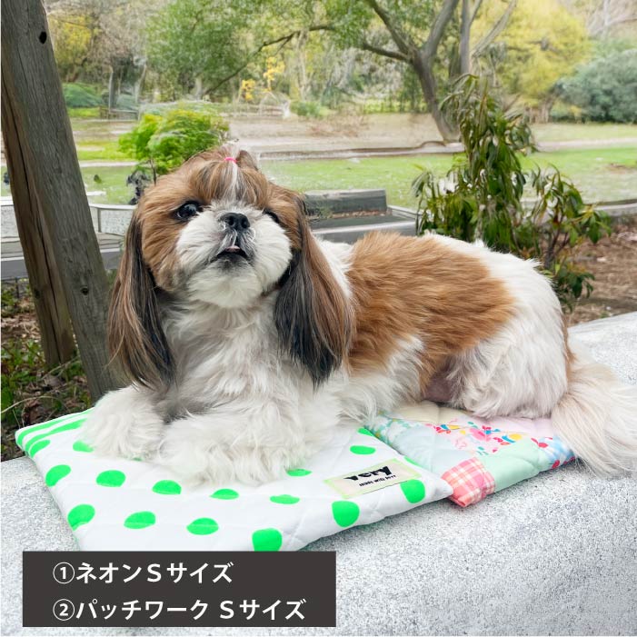 2025クールマット　モデル犬使用例　ネオンSサイズ　パッチワークSサイズ