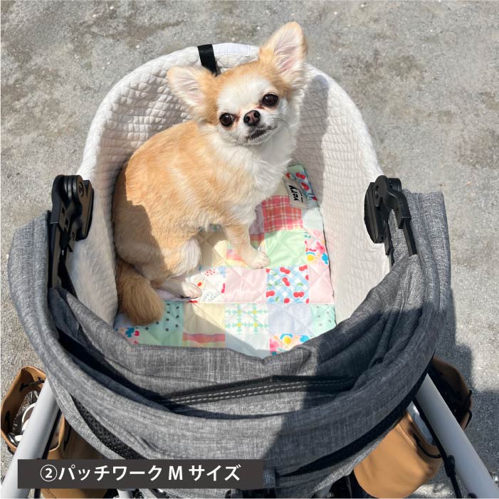 2025クールマット　モデル犬使用例　パッチワークMサイズ