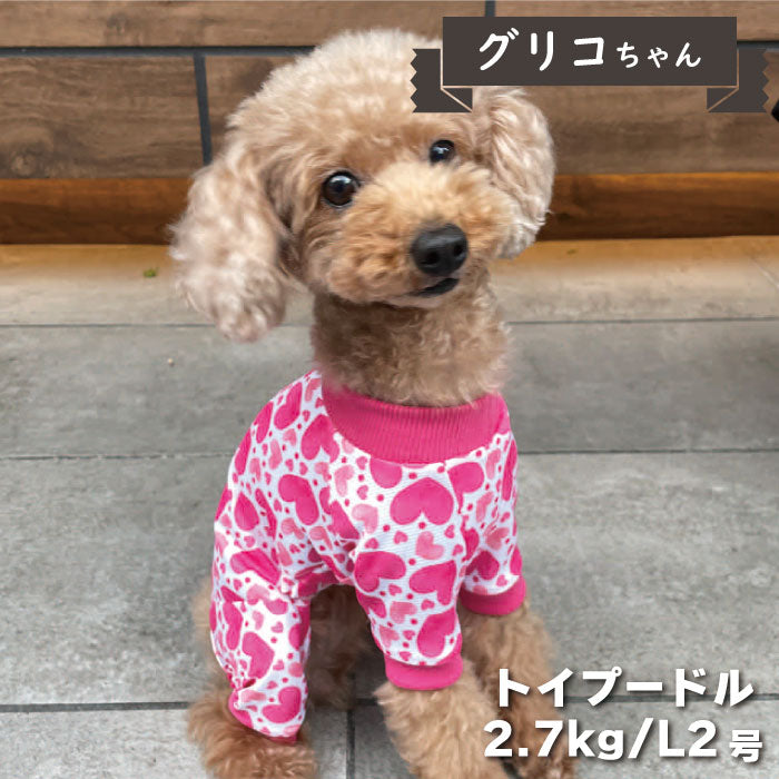 4柄展開<br>COOLカバーオール 小型犬・胴長足長 - VERY-PET