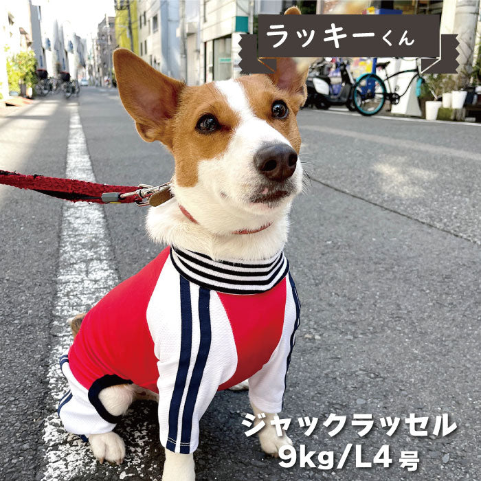 4色展開<br>COOLジャージ風カバーオール 小型犬・胴長足長 - VERY-PET