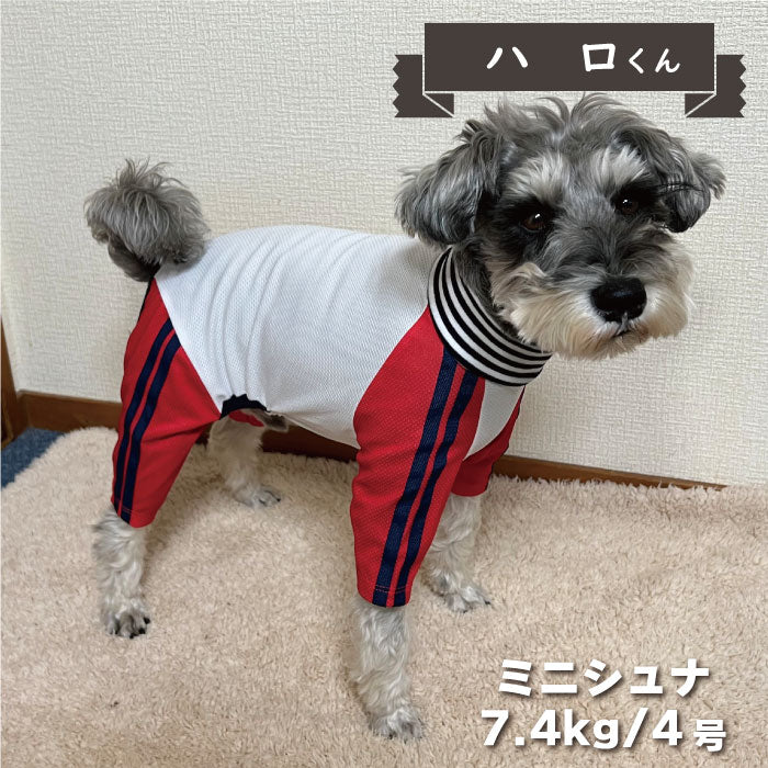 4色展開<br>COOLジャージ風カバーオール 小型犬・胴長足長 - VERY-PET