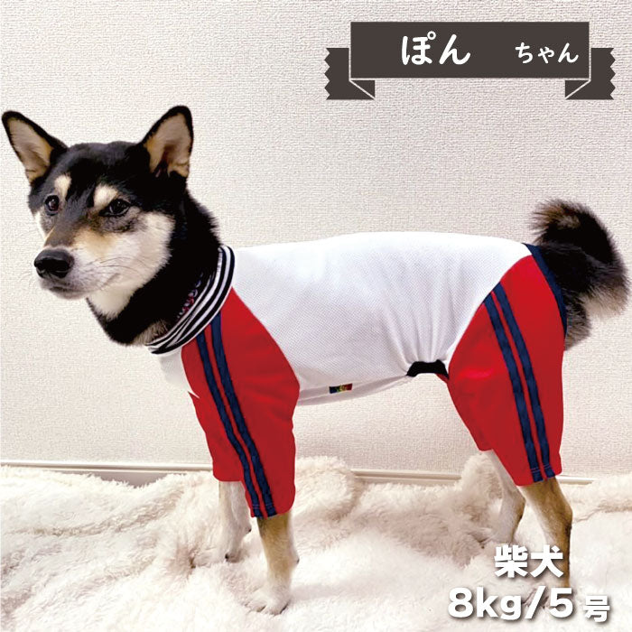 4色展開<br>COOLジャージ風カバーオール 小型犬・胴長足長 - VERY-PET