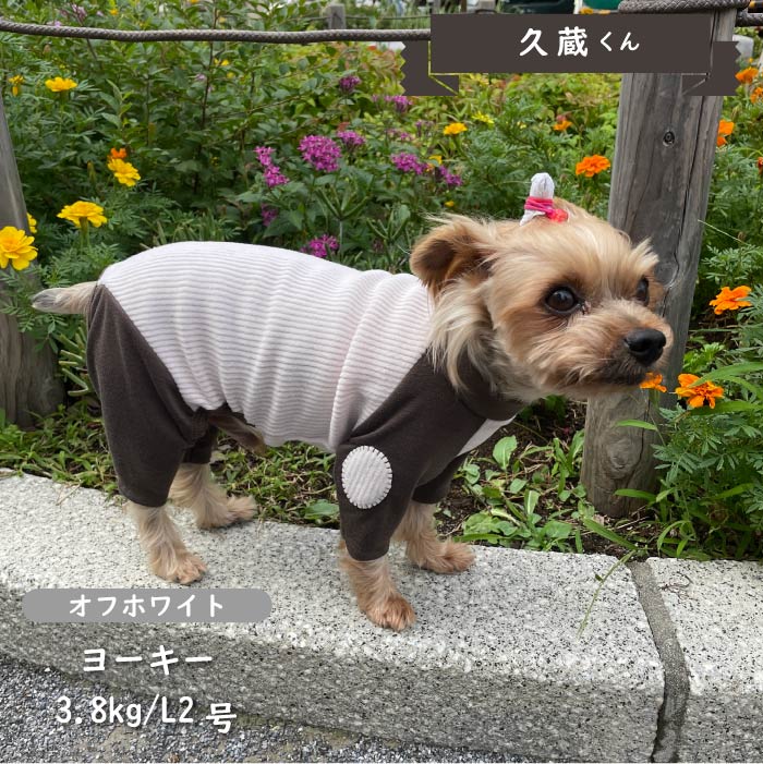 ストレッチ肘あて付きカバーオール 小型犬・胴長 - VERY-PET