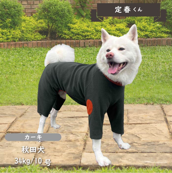 ストレッチ肘あて付きカバーオール 大型犬 - VERY-PET